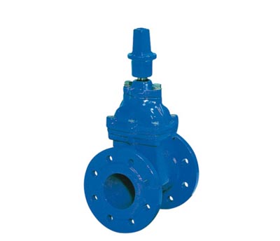 Elastic Seat Gate Valve